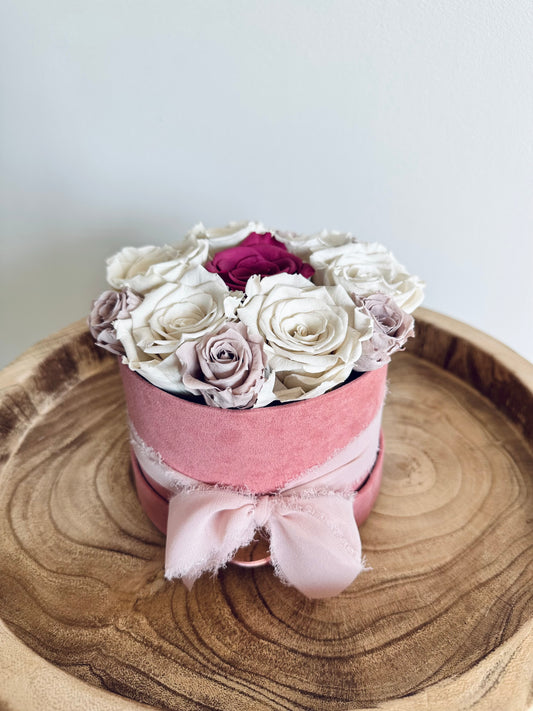 Cherry Rose
