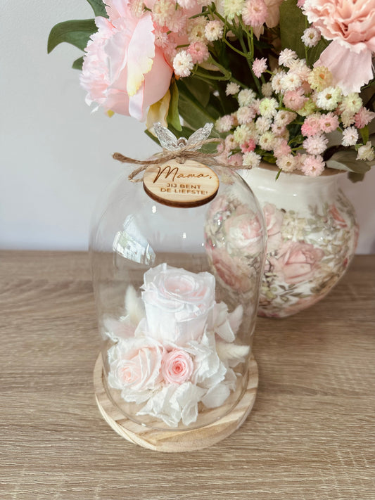 Stolp Rose