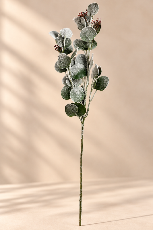 Eucalyptus met sneeuw