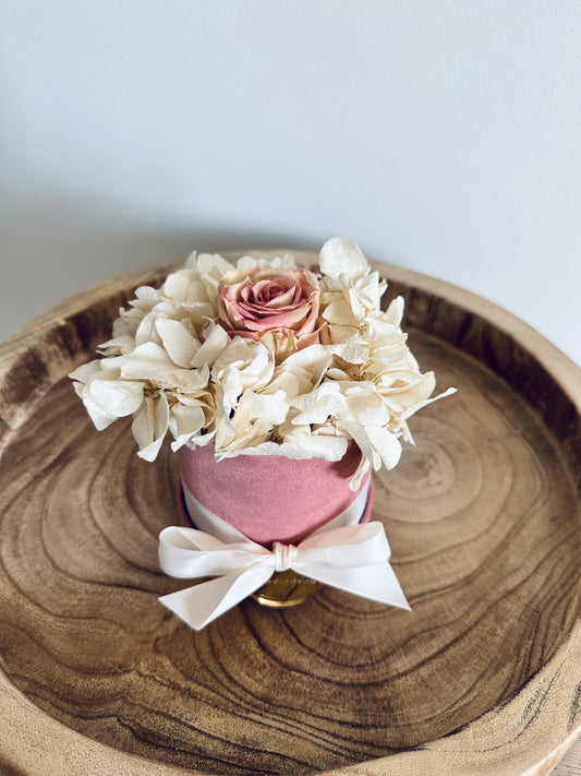 Sweet Rose